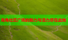 海角社区广场的魅力与活力尽在此地