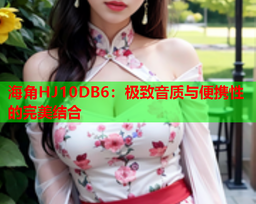 海角HJ10DB6：极致音质与便携性的完美结合